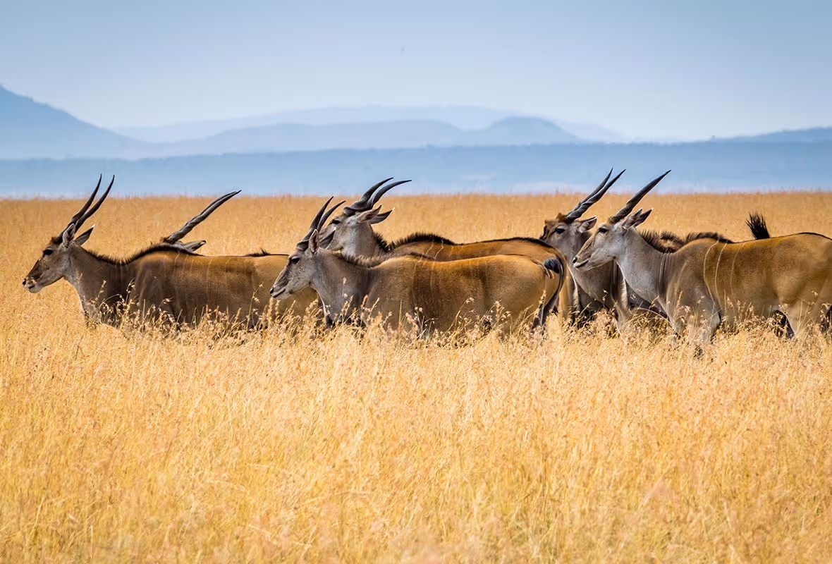 Destinations en Afrique