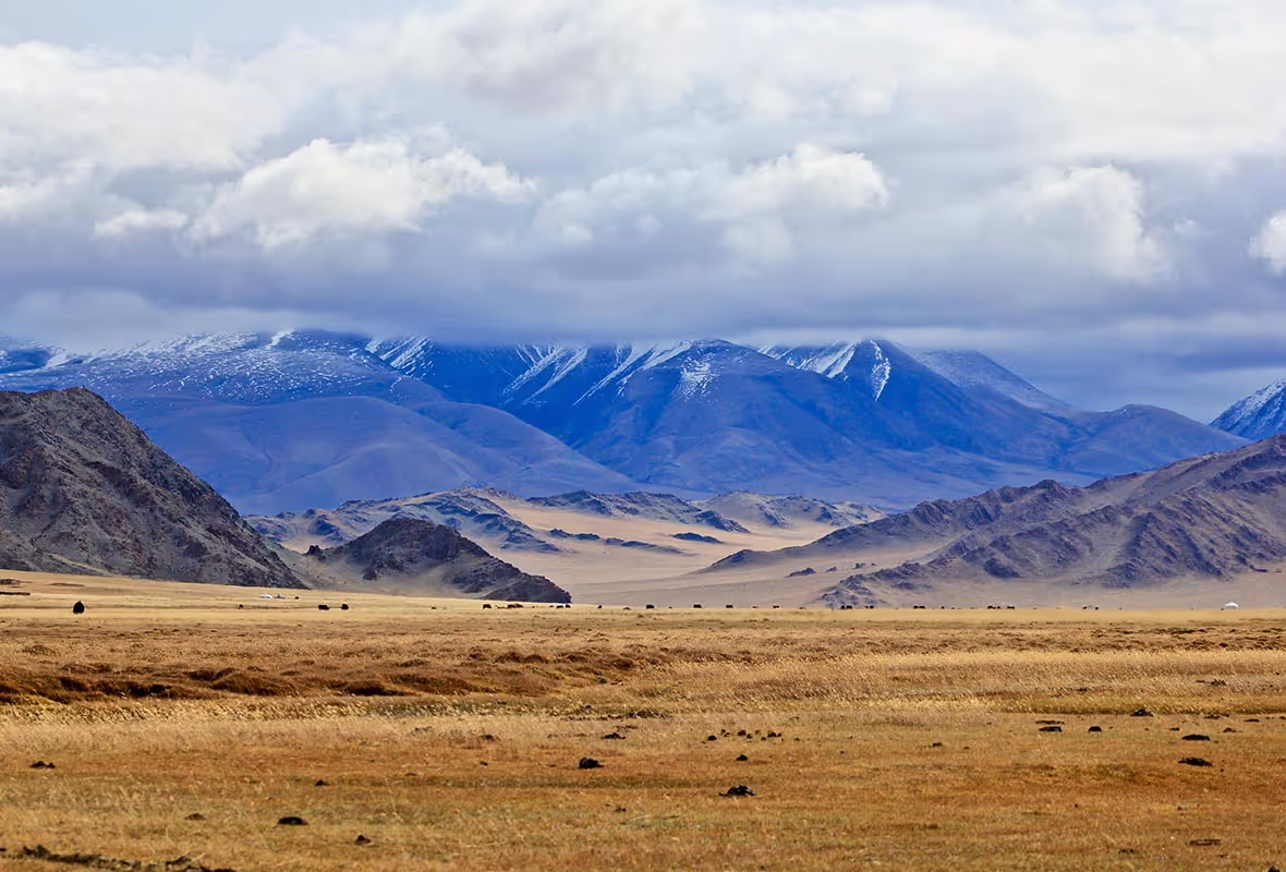 Assurance voyage Mongolie