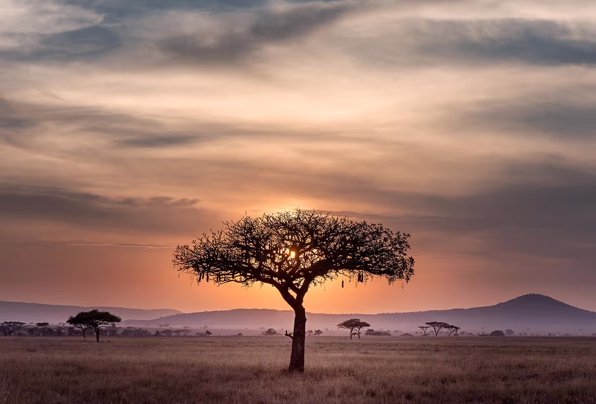 Assurance voyage Tanzanie