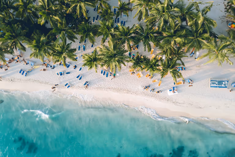 Tous nos article sur le blog Allianz Voyage